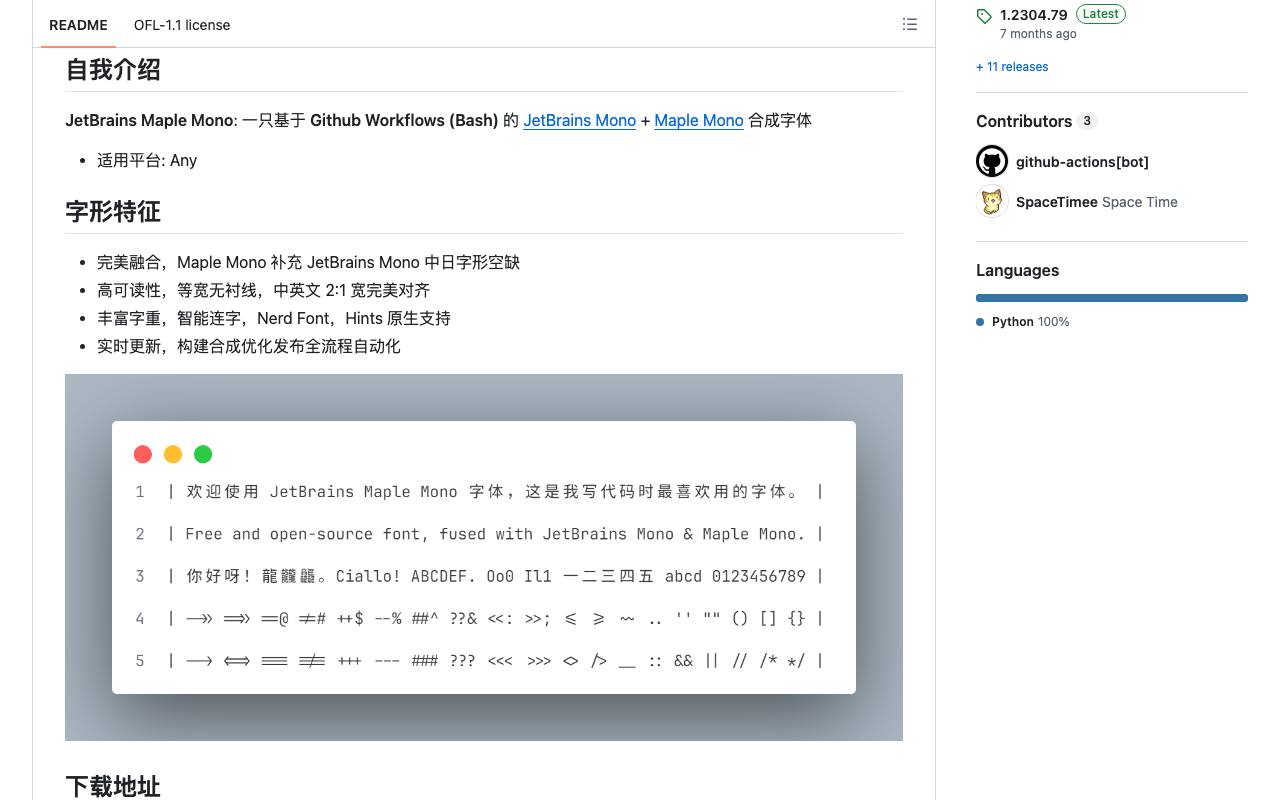 JetBrains Maple Mono 截图 2