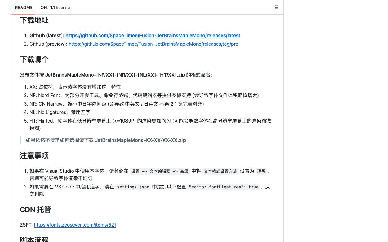 JetBrains Maple Mono 截图 3