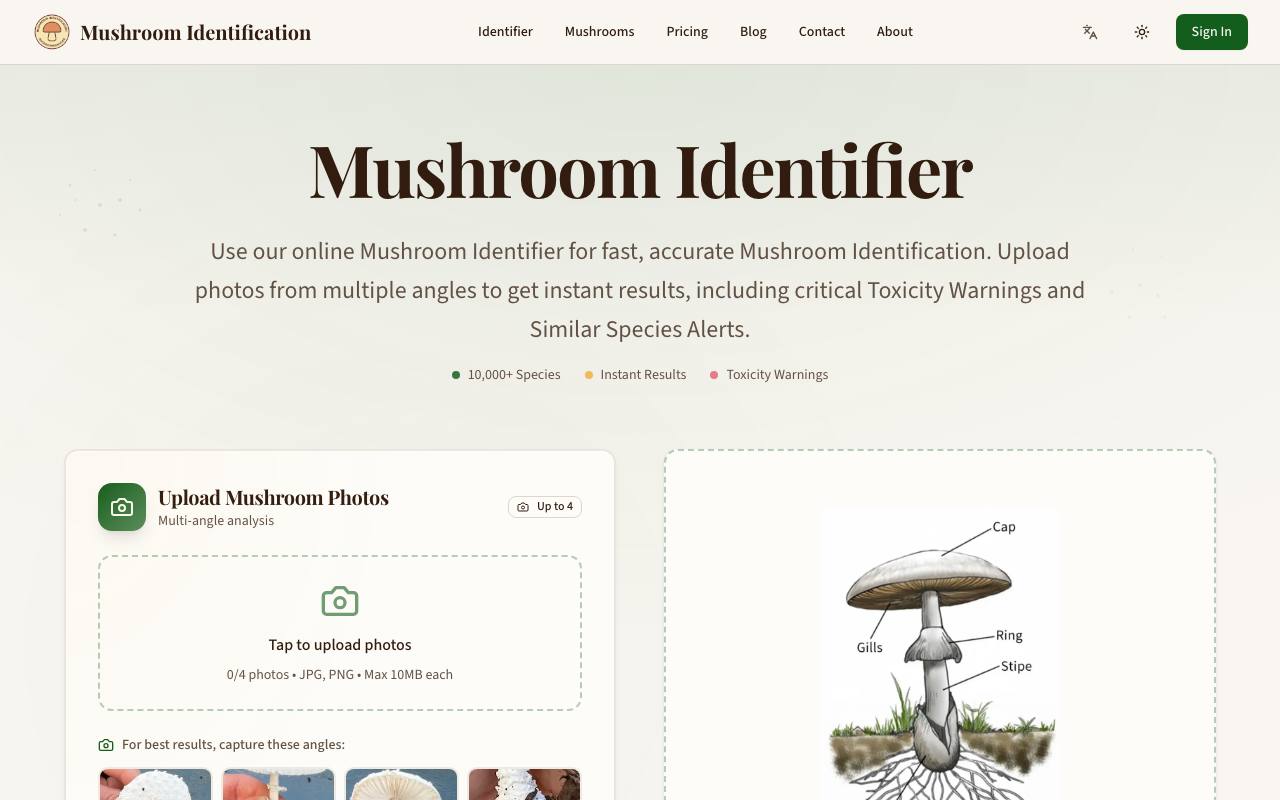 Mushroom Identification 截图 1
