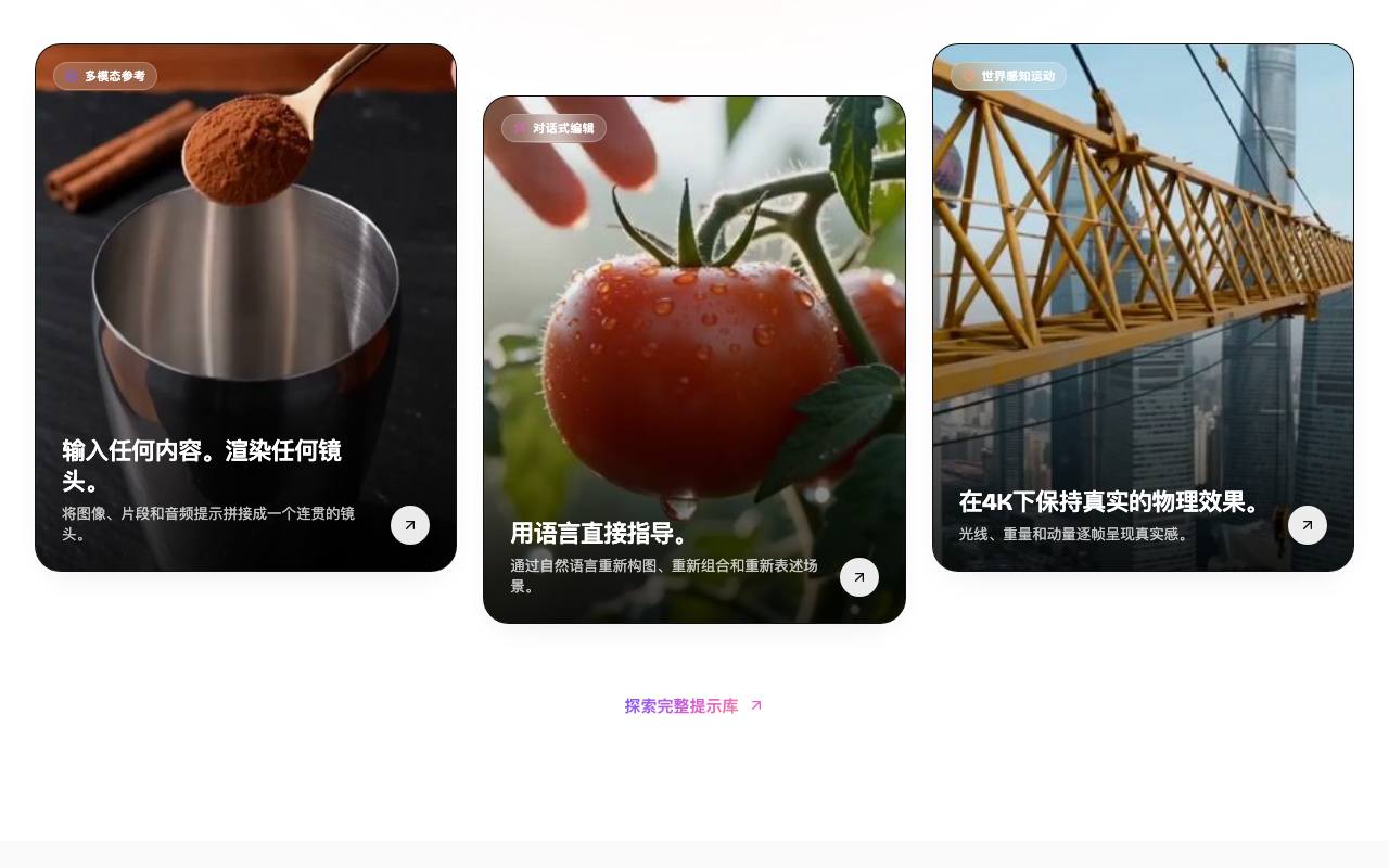 Gemini Omni 截图 3