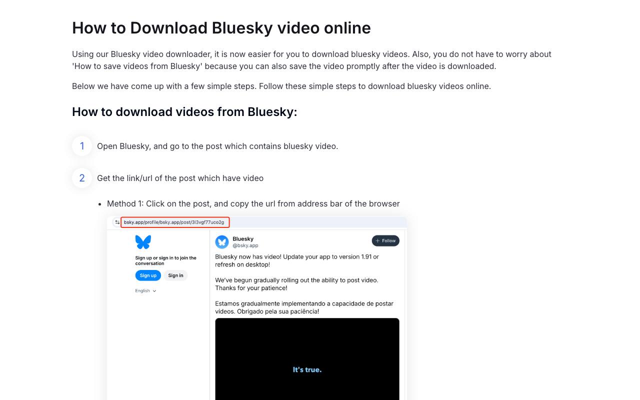 Bluesky Video Downloader 截图 2