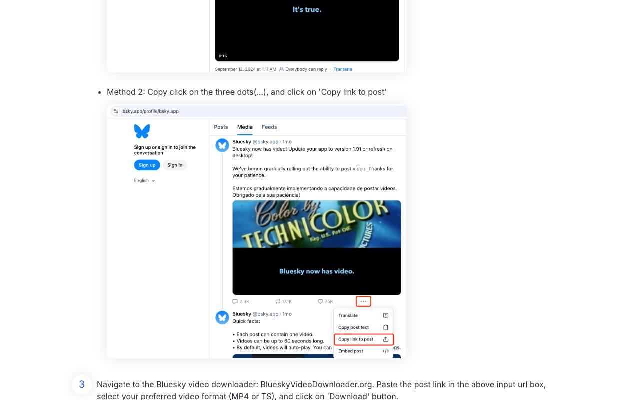 Bluesky Video Downloader 截图 3