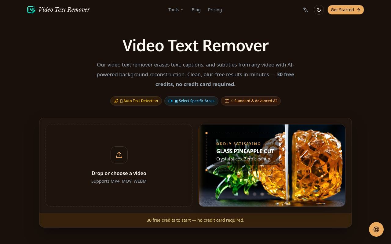 Video Text Remover 截图 1