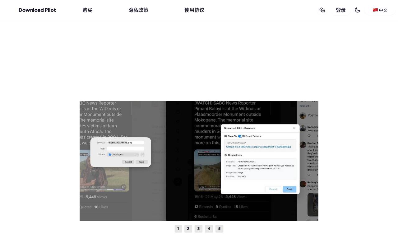 Download Pilot - 自动整理下载 + 智能命名插件 截图 1